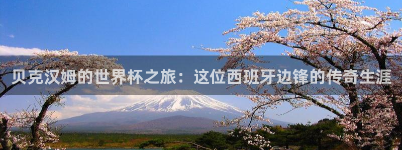 世界杯预选赛排名:贝克汉姆的世界杯之旅:这位西班牙边锋的传奇生涯