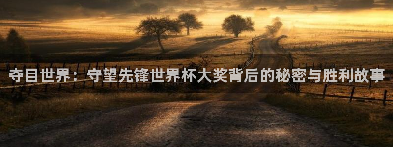 欧洲世界杯预选赛赛程:夺目世界:守望先锋世界杯大奖背后的秘密与胜利故事