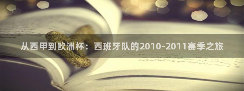 世界杯比赛直播:从西甲到欧洲杯:西班牙队的2010-2011赛季之旅