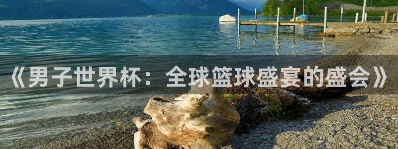 世界杯 直播:《男子世界杯:全球篮球盛宴的盛会》