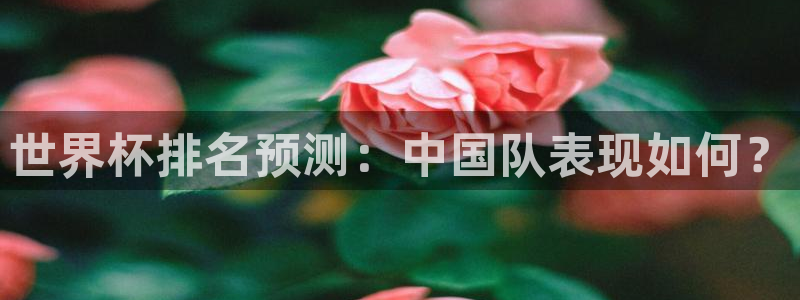 2026世界杯赛程:世界杯排名预测:中国队表现如何?