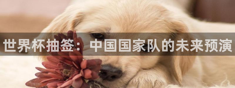 世界杯预选赛亚洲区赛程:世界杯抽签:中国国家队的未来预演